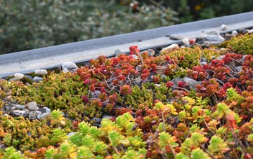 the cost of Lurgashall green roof installation